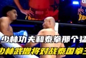 少林功夫对泰拳