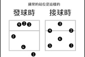 排球自由人的位置是什么，揭秘排球自由人的位置分布