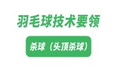 赵建华羽毛球教学，教你如何成为羽毛球高手