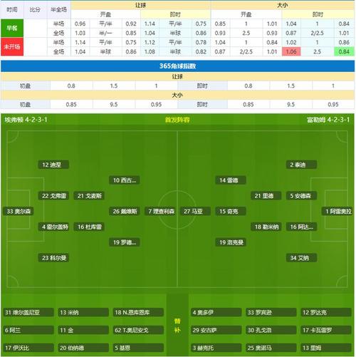 埃弗顿VS富勒姆首发阵容预测  第1张