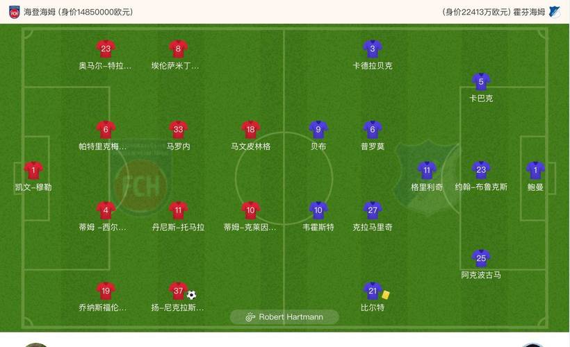 狼堡VS海登海姆主力阵容分析  第1张