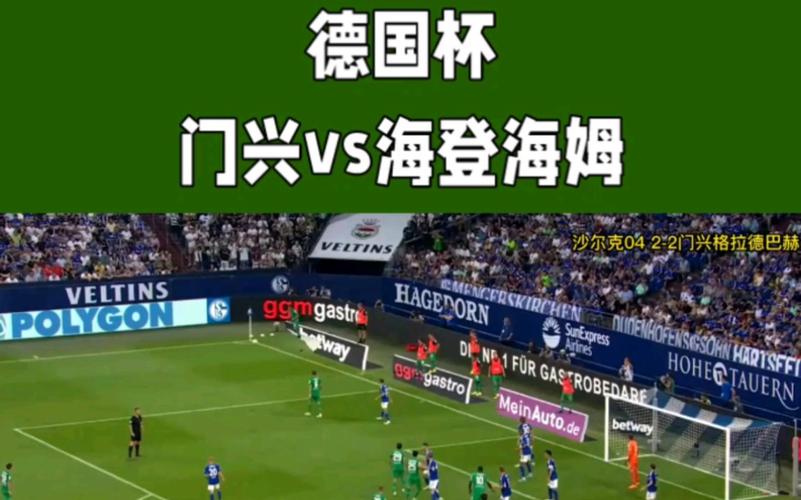 门兴VS海登海姆客场战绩  第2张