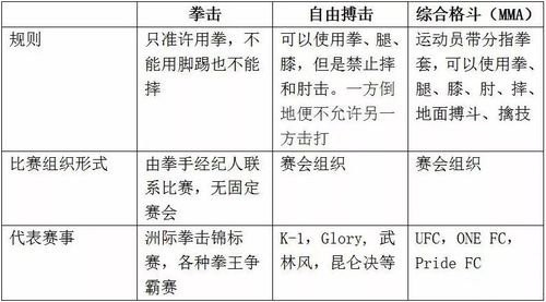 2021年全国青少年拳击锦标赛，比赛规程和参赛须知  第2张