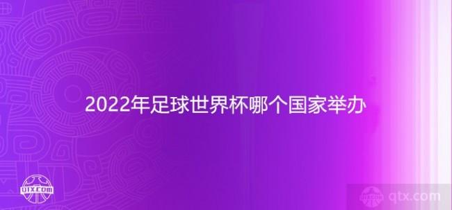 2022足球世界杯在哪个国家，揭秘2022年世界杯主办国  第2张