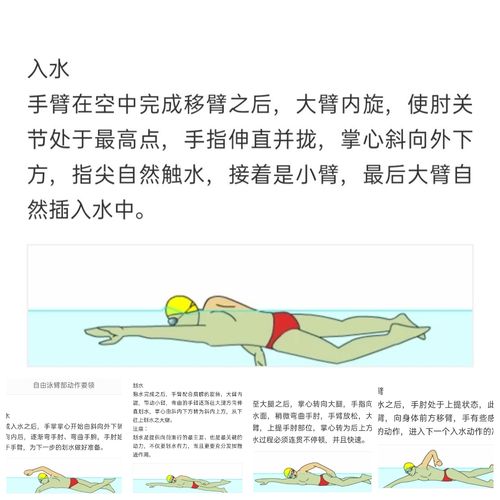 如何在1500米自由泳比赛中获胜，选手的训练秘密介绍  第1张