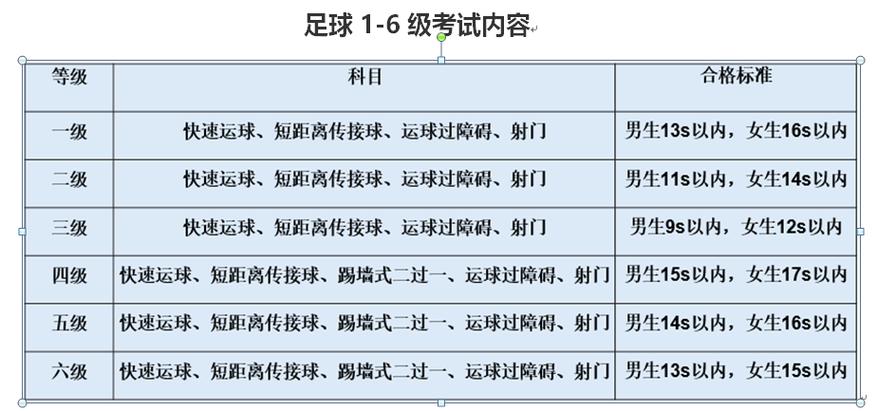 足球国少队年龄，年龄限制及选拔标准  第1张