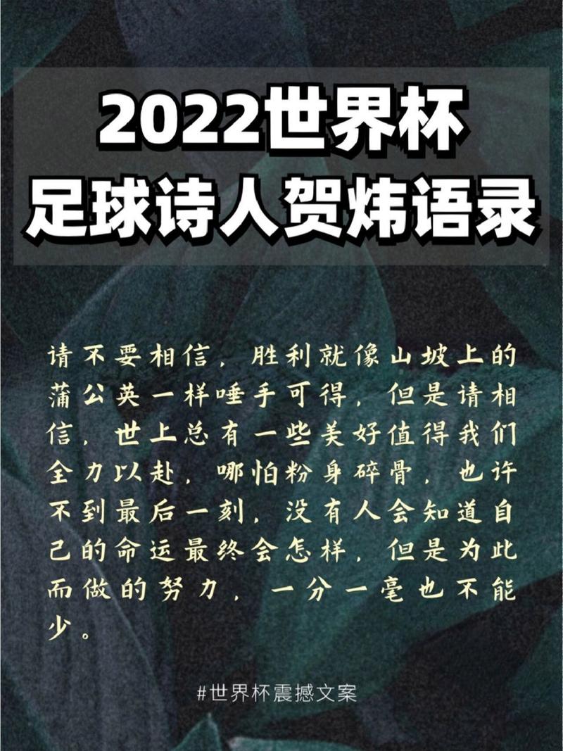 世界杯解说贺伟的职业生涯和个人经历,贺伟解说世界杯的经典语录  第1张