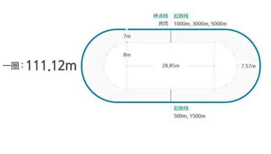 雪地球比赛场地规格详解，必须掌握的尺寸要点  第1张