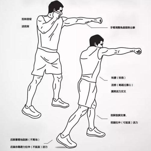 拳击的基本三个动作，初学者必备的拳击技巧  第2张