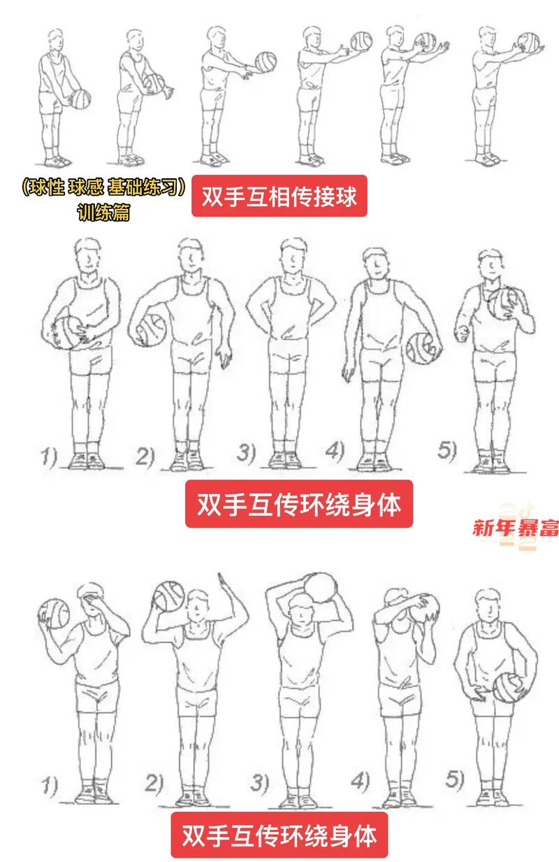 篮球入门必备掌握这些基本技能，让你打得更好  第1张