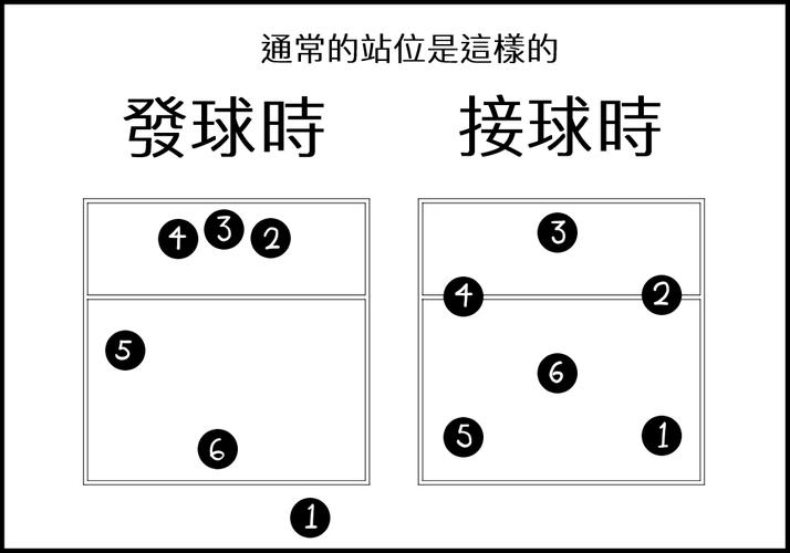 排球自由人的位置是什么，揭秘排球自由人的位置分布  第1张