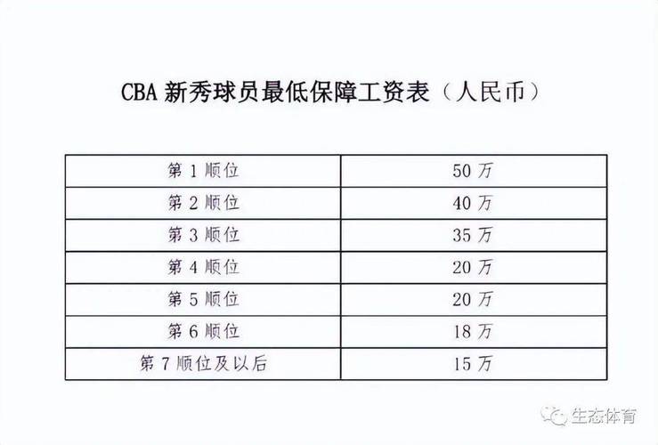 辽宁男篮队员年薪是多少，揭秘辽宁男篮球员的薪酬情况  第1张