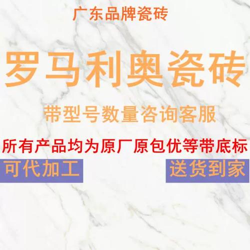 罗马利奥瓷砖是一线品牌吗质量好不好，详细介绍罗马利奥瓷砖的品牌和质量  第1张