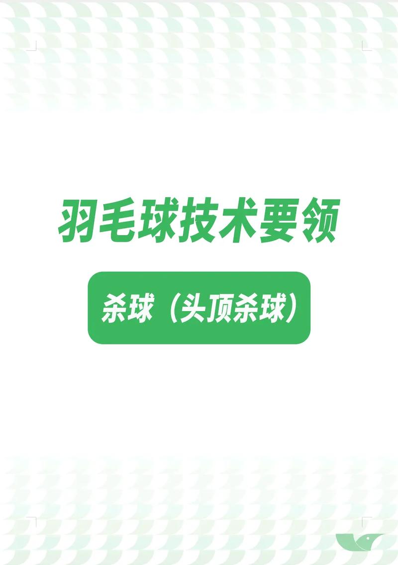 赵建华羽毛球教学，教你如何成为羽毛球高手  第2张