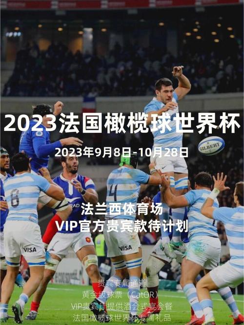 2023年橄榄球世界杯，你需要的赛事信息和看点  第1张