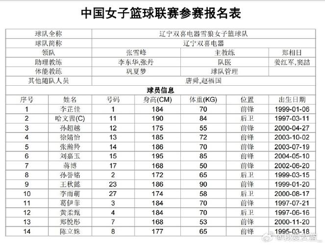 WCBA各队队员名单，全明星阵容揭晓  第2张