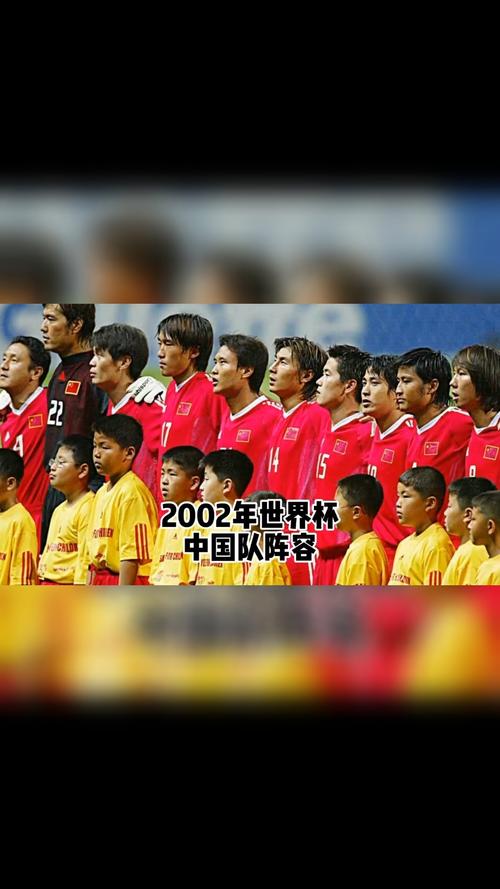 2002年中国足球队员名单及表现回顾  第2张