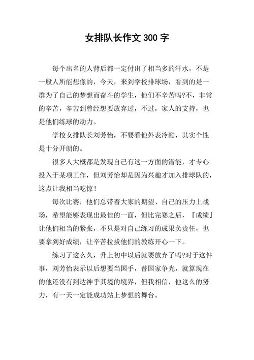 大学排球队长经历怎么写  第1张