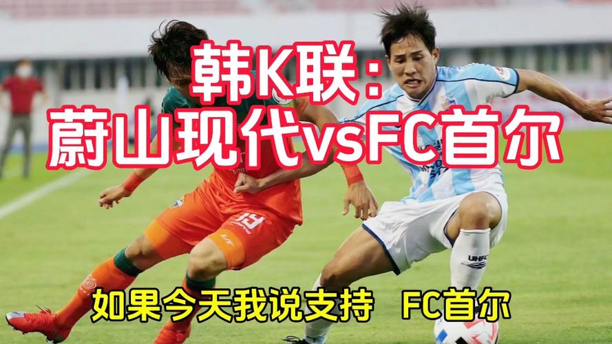 24-25韩K联_首尔FC比赛免费直播  第1张