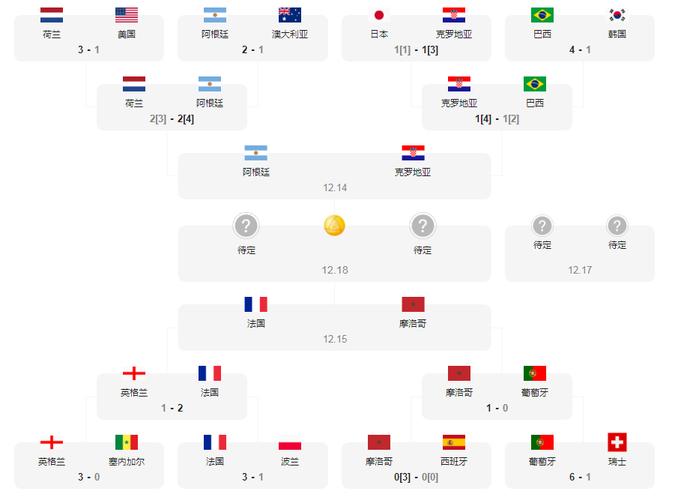 进入4强的足球队是哪4个  第1张
